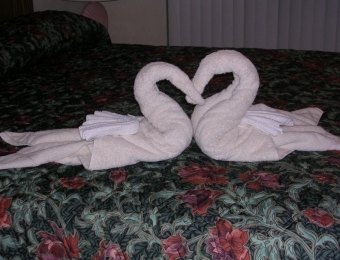 08-11-06 The Watts Disney Vacation