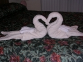 DSCN1636.jpg