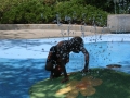 DSCN1823.jpg
