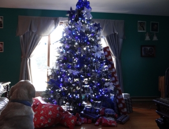 2014 Watts Christmas