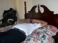 100_0264howie_bed.jpg