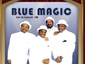 bluemagic-dvd-cover400